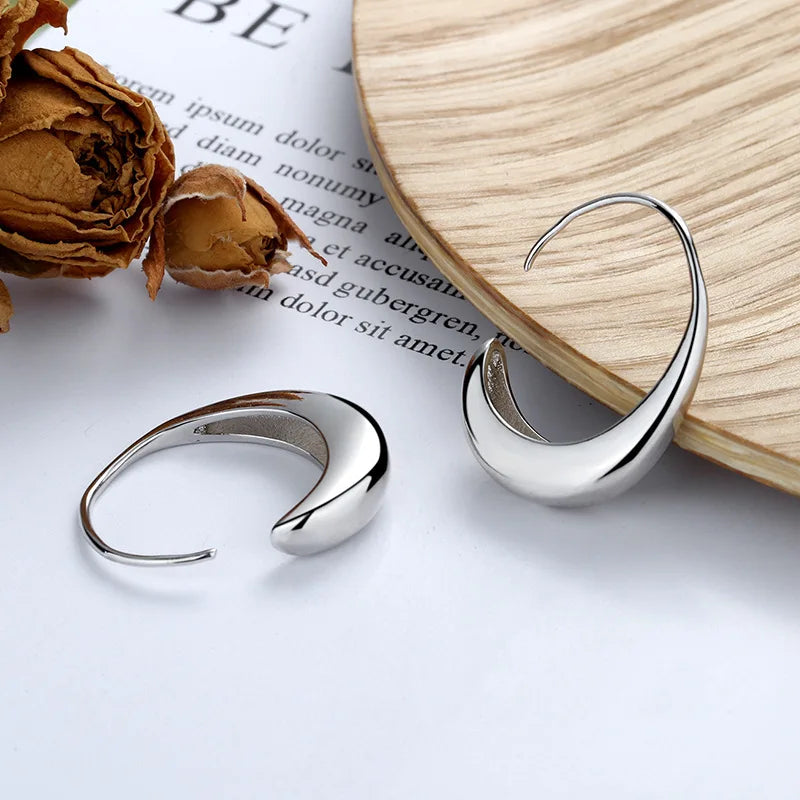 New 925 Sterling Silver AAA Zircon Stud Earrings For Women Fashion Exquisite Student Girlfriend Jewelry Accessories Heart Gift